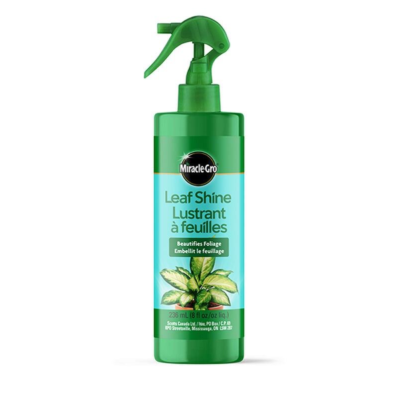 Miracle-Gro® Leaf Shine image number null